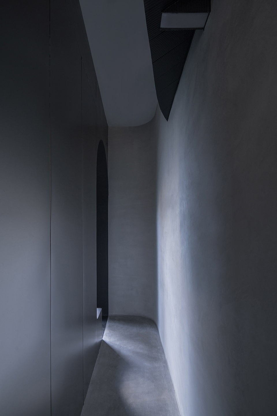 la cipolla china by mur mur lab