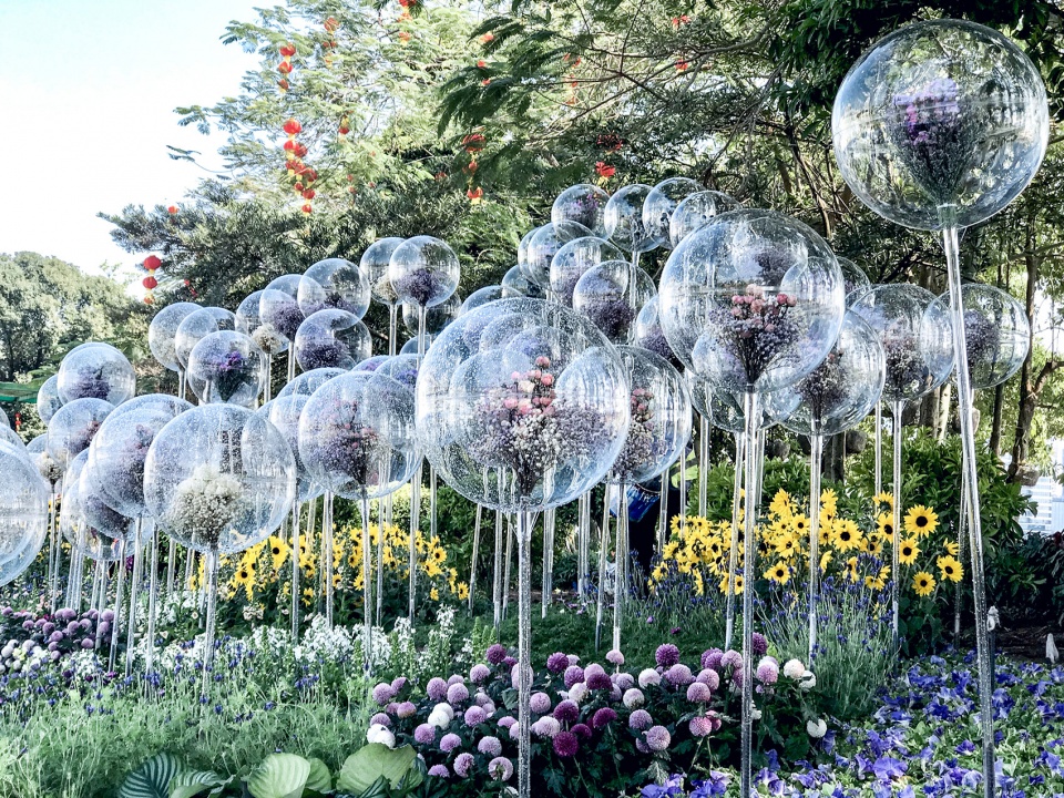 disappearing garden china by school of architecture south china university of technology