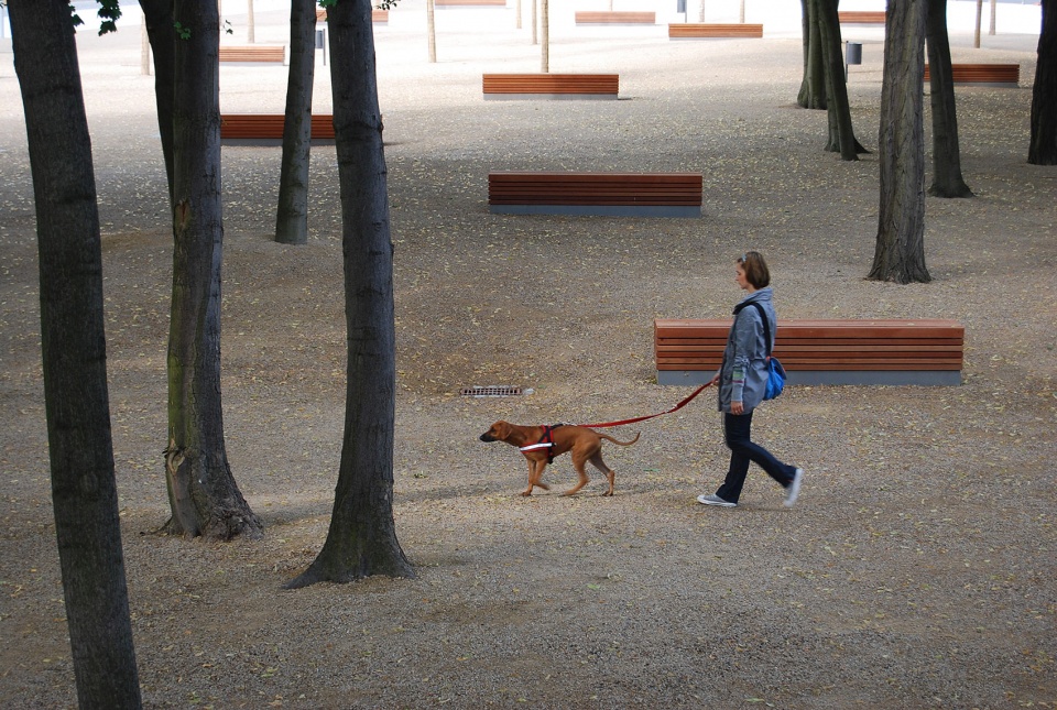 ulap square berlin mitte by rehwaldt landscape architects