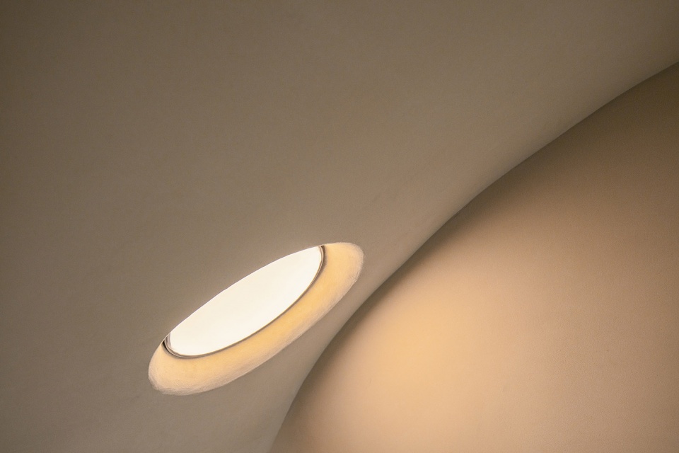la cipolla china by mur mur lab