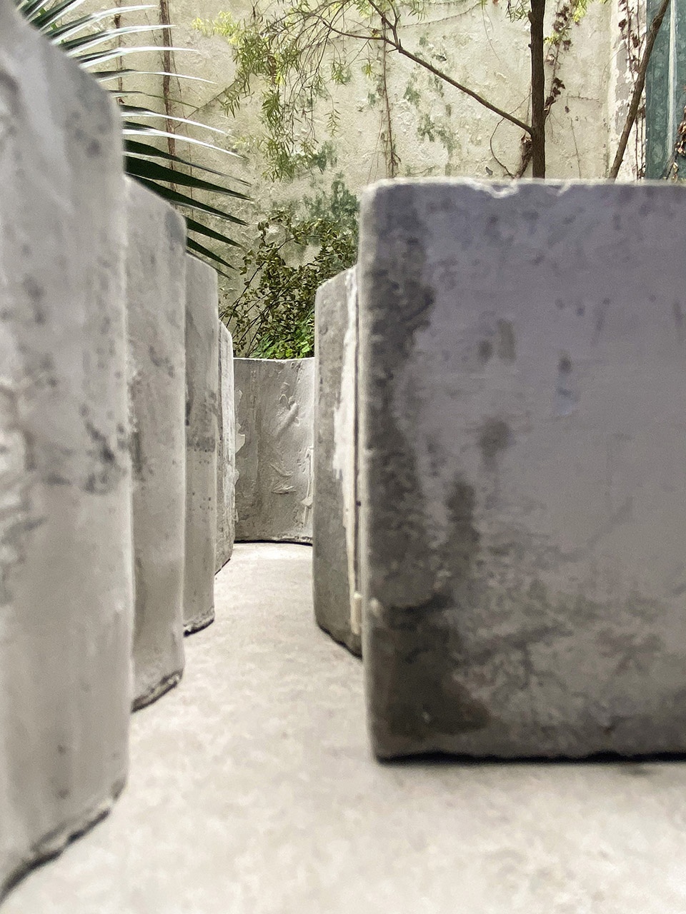 la cipolla china by mur mur lab
