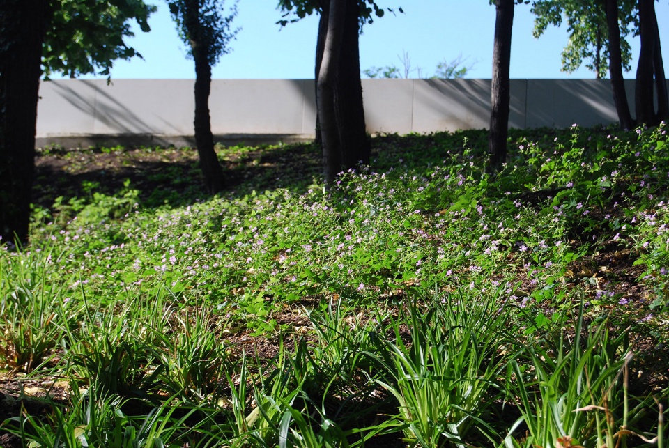 ulap square berlin mitte by rehwaldt landscape architects