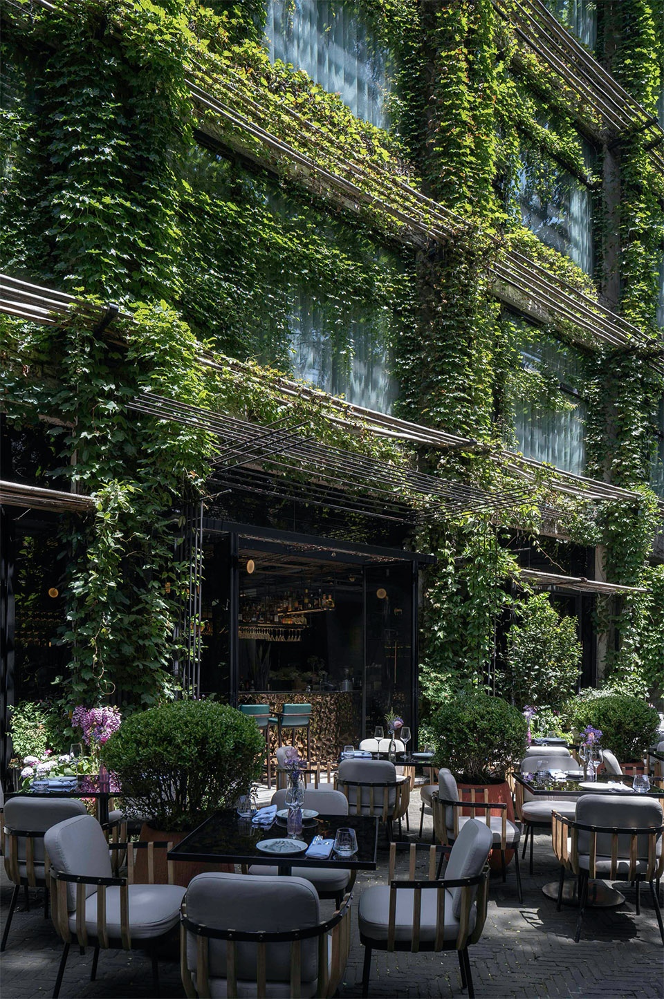 le coq wine bistro in urbn hotel china by roomoo