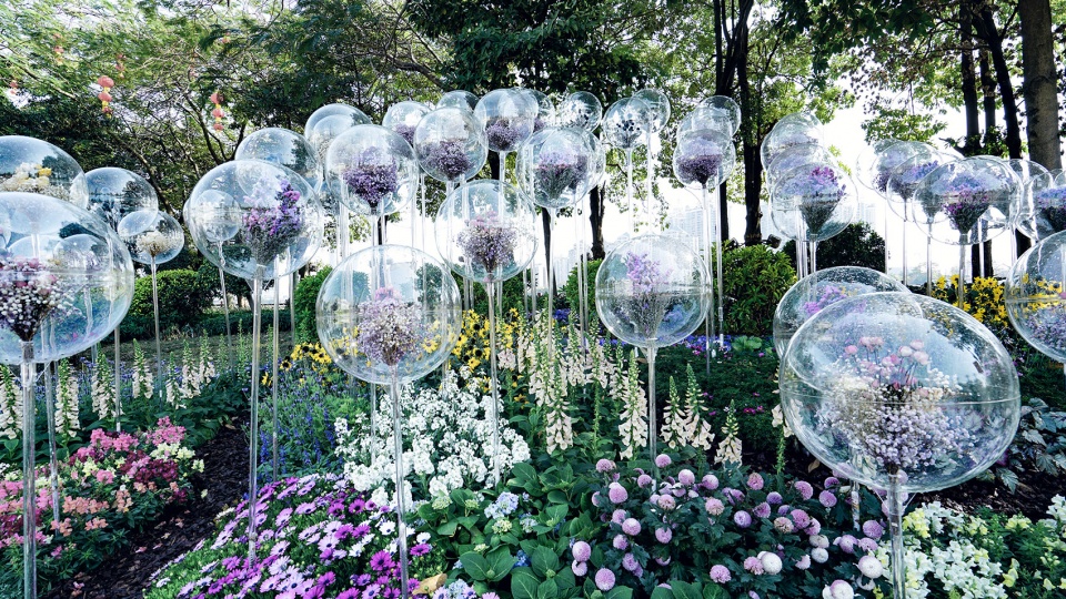 disappearing garden china by school of architecture south china university of technology