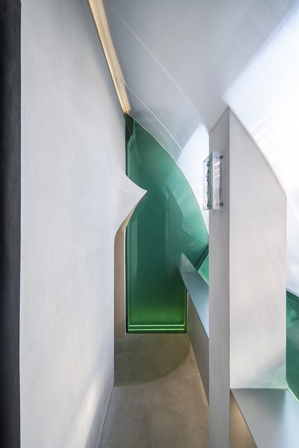 la cipolla china by mur mur lab