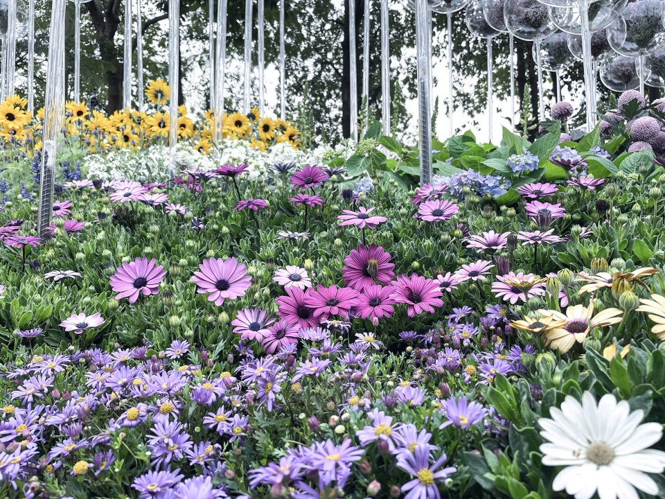 disappearing garden china by school of architecture south china university of technology