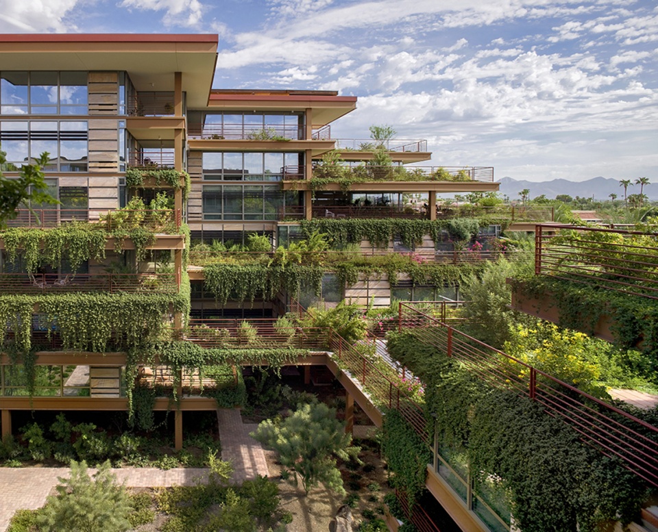 2020 asla residential design award of honor vertical oasis verdant sustainability in an arid climate floor associates inc