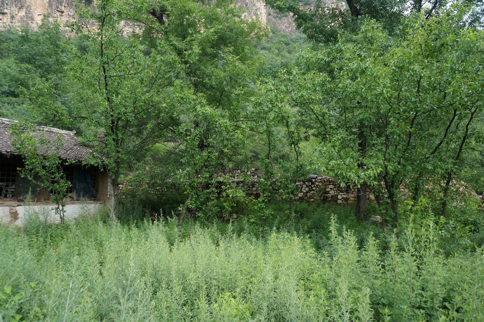 countryside residence in yanqing district china by spear designs spacework architects