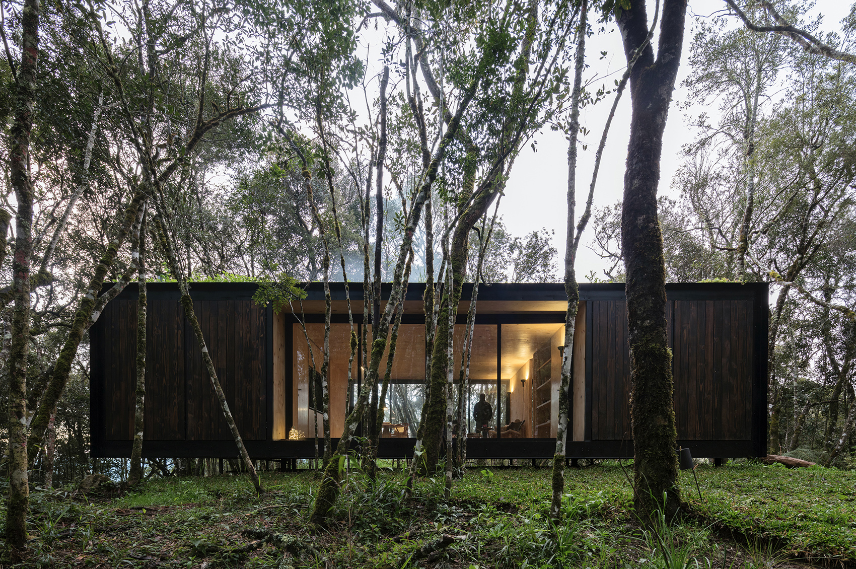 minimod curucaca by mapa architects