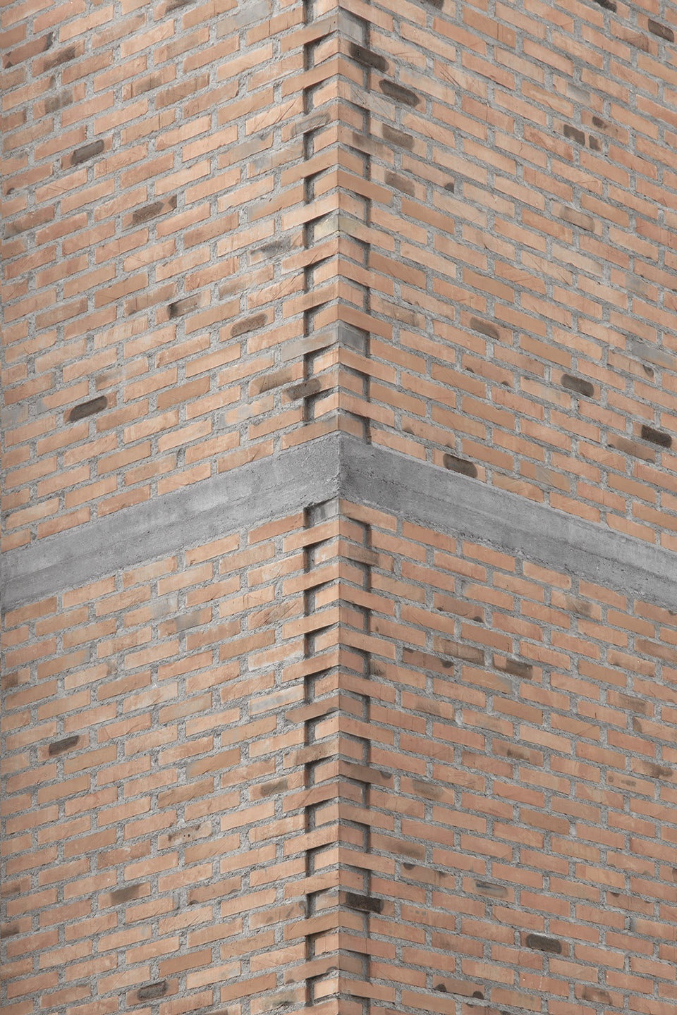 cusanus学院翻新意大利modusarchitects