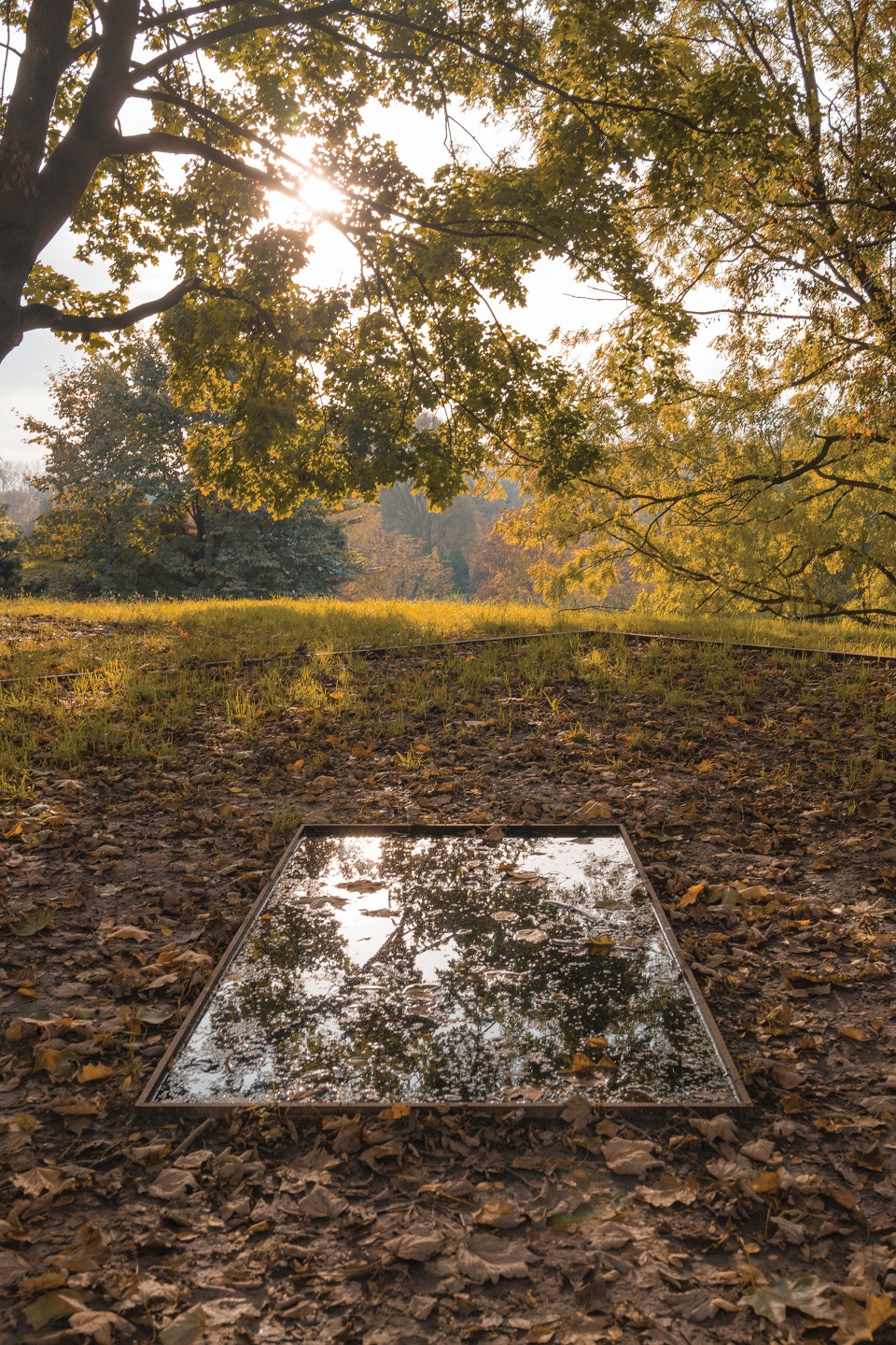 the great synagogue memorial park in oswiecim by narchitektura