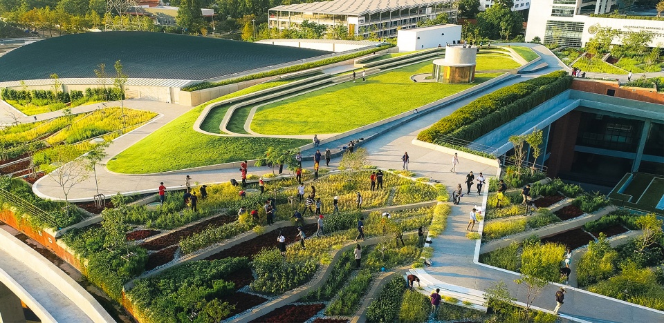 thammasat university rooftop farm landprocess