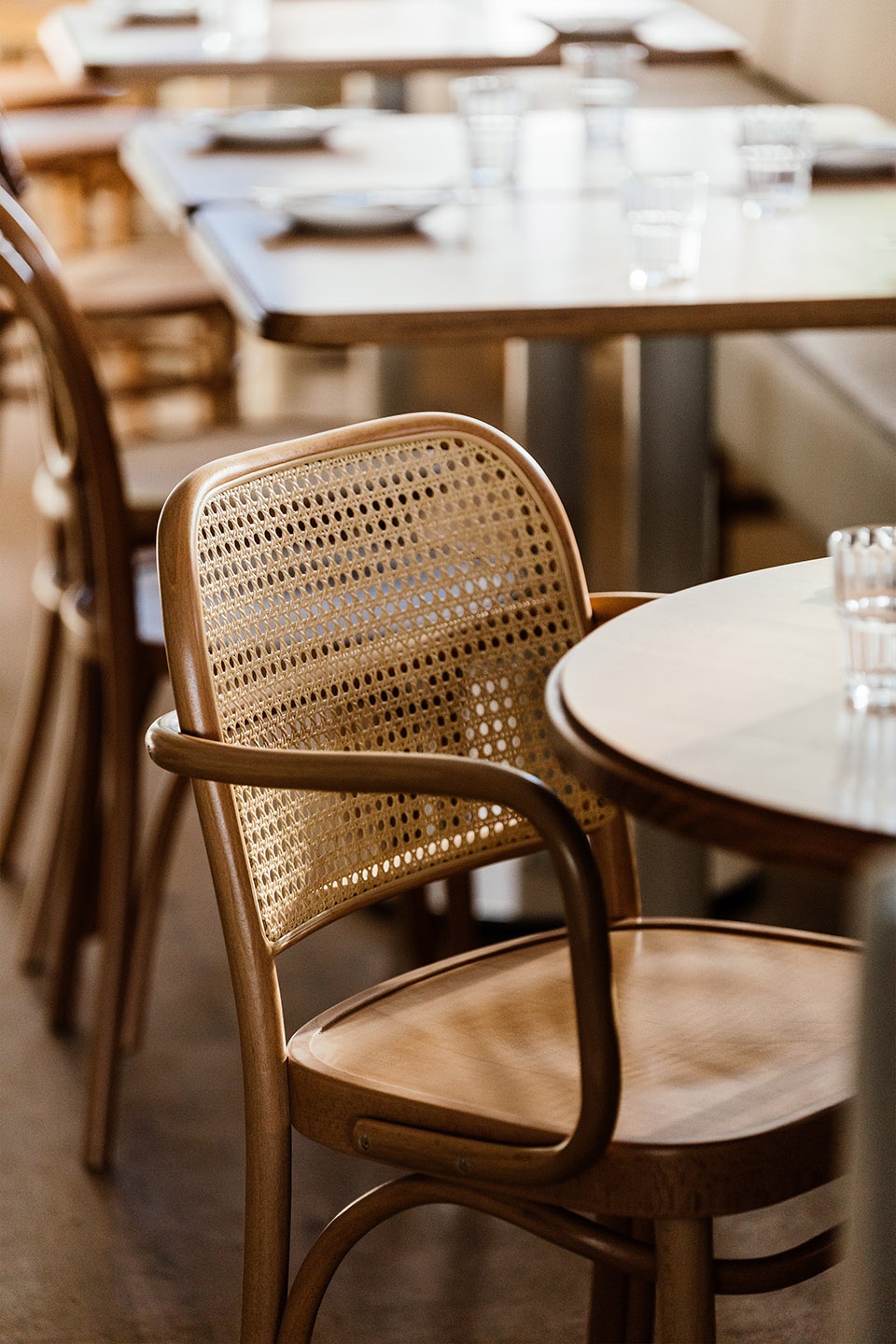 Sisterhood Restaurant café by Biasol