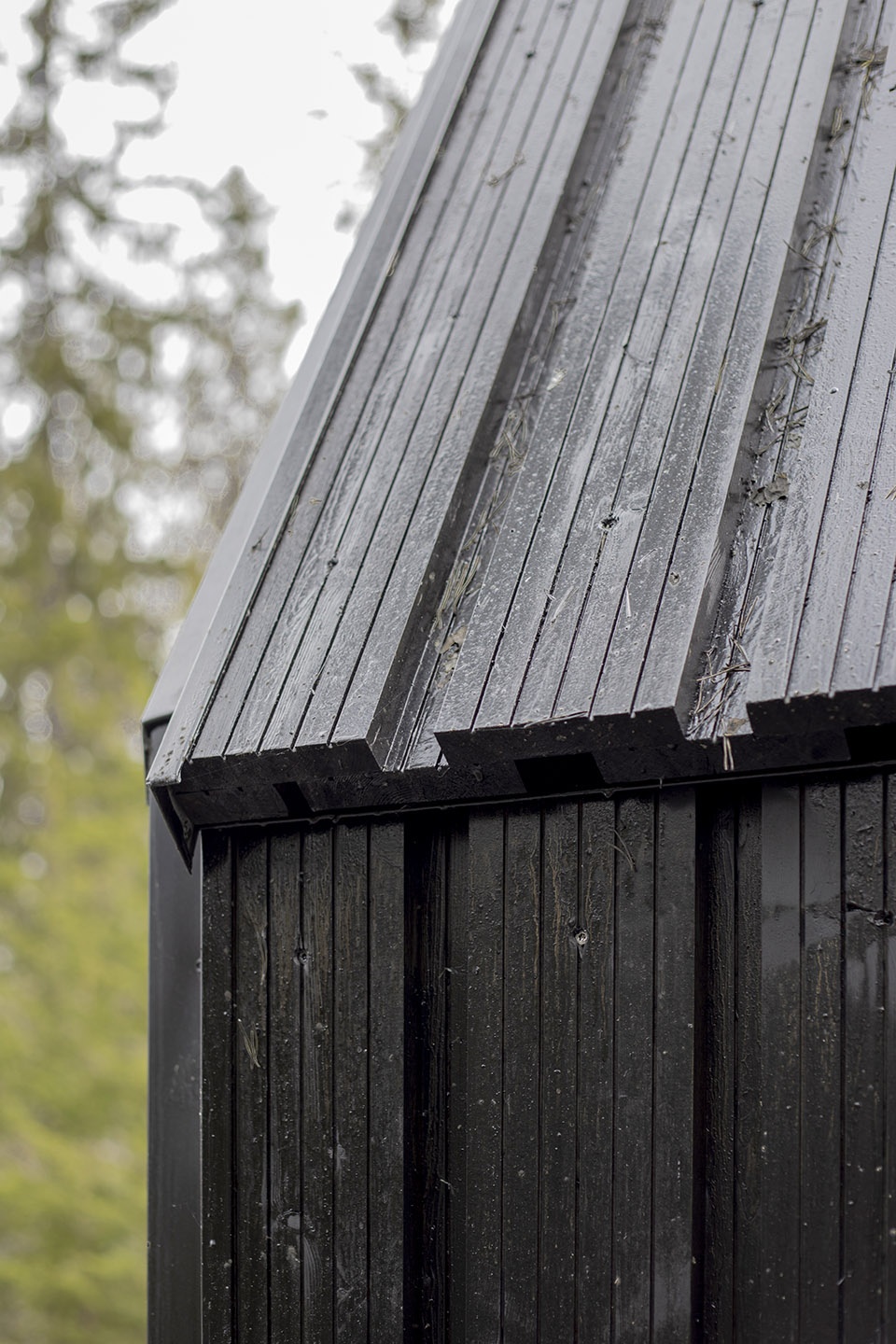 forest chapel Architecturestudio NOAN