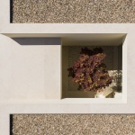 Santarém住宅，葡萄牙 / dp Arquitectos