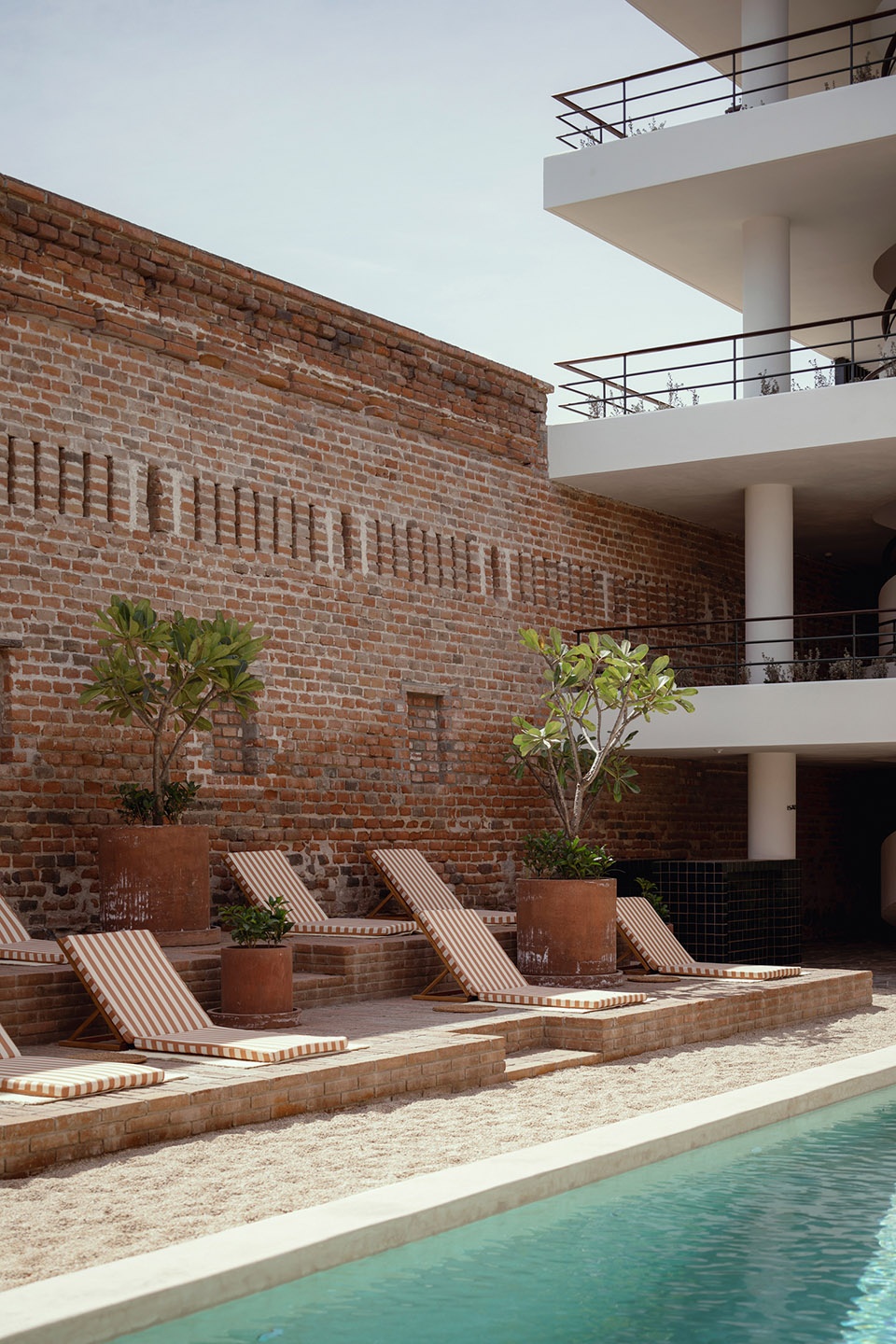 Baja Club Max von Werz Arquitectos Jaune Architecture