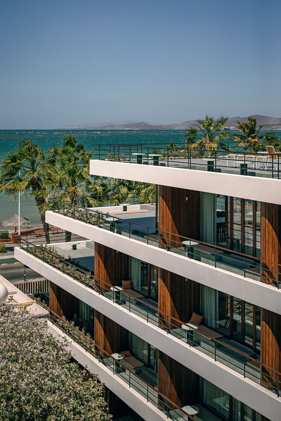 Baja Club Max von Werz Arquitectos Jaune Architecture