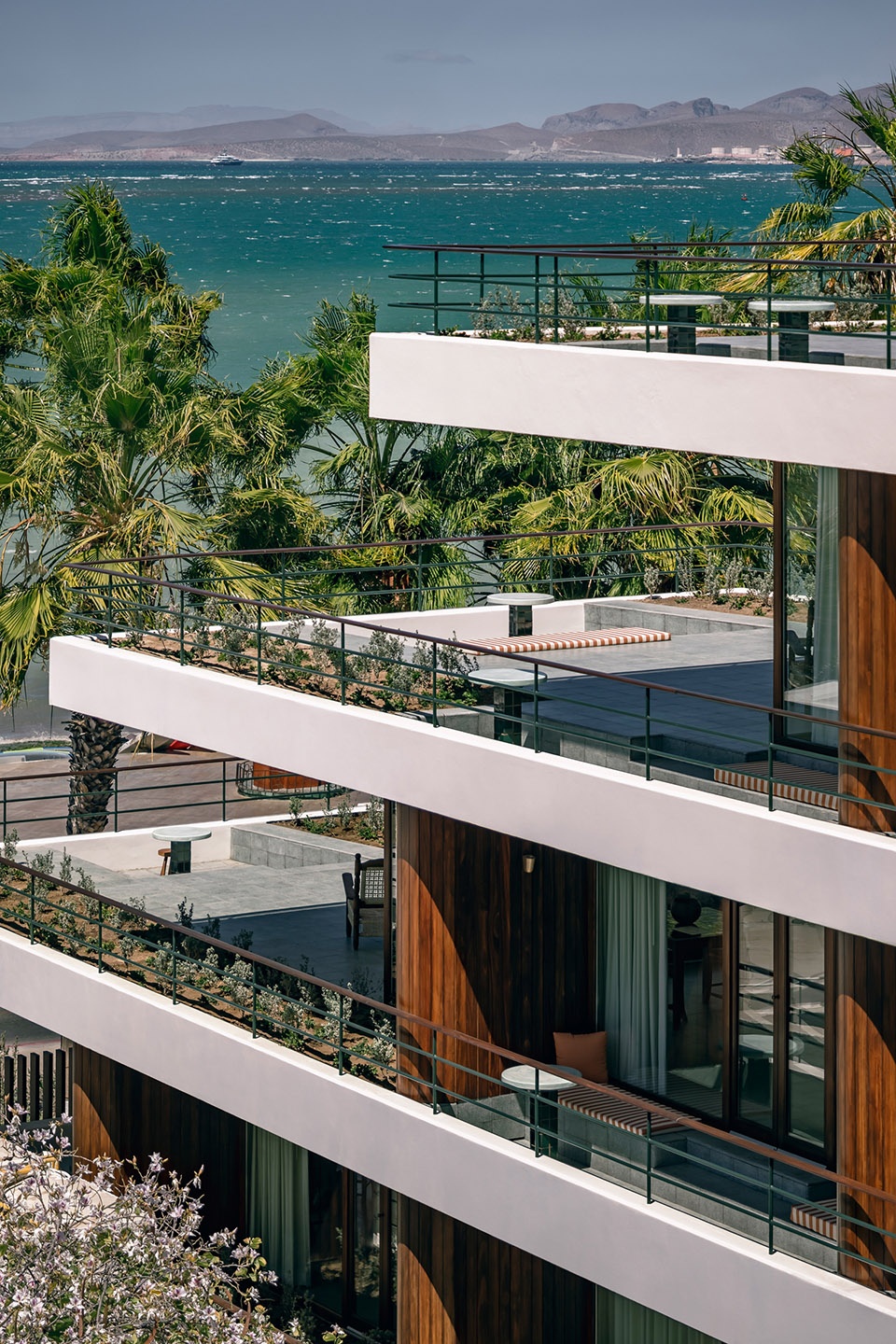 Baja Club Max von Werz Arquitectos Jaune Architecture