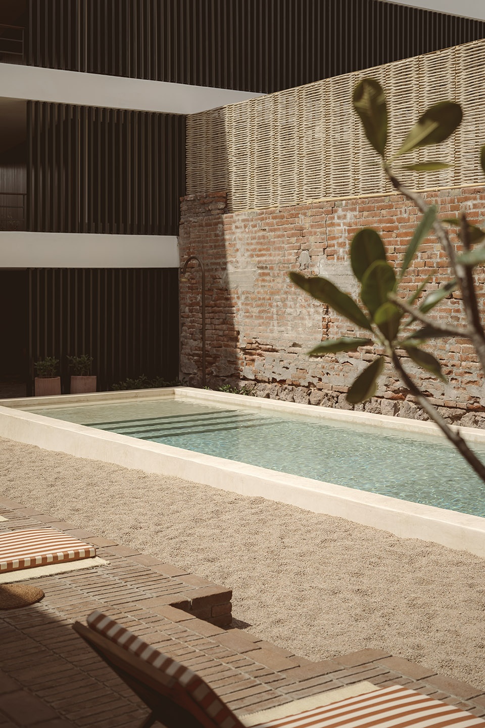 baja club mexico by max von werz arquitectos jaune architecture