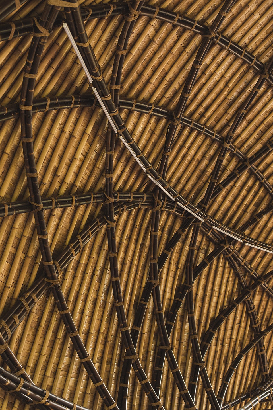 kura kura badminton courts by ibuku studio jencquel