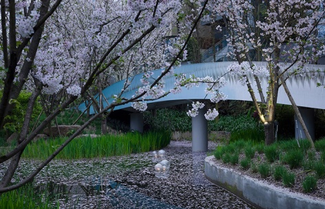 成都麓湖皮划艇航道景观 / 纬图设计机构