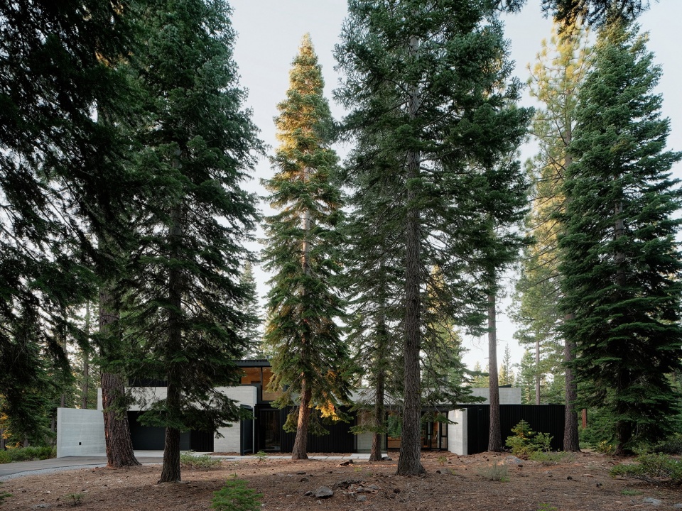 forest house by faulkner architects