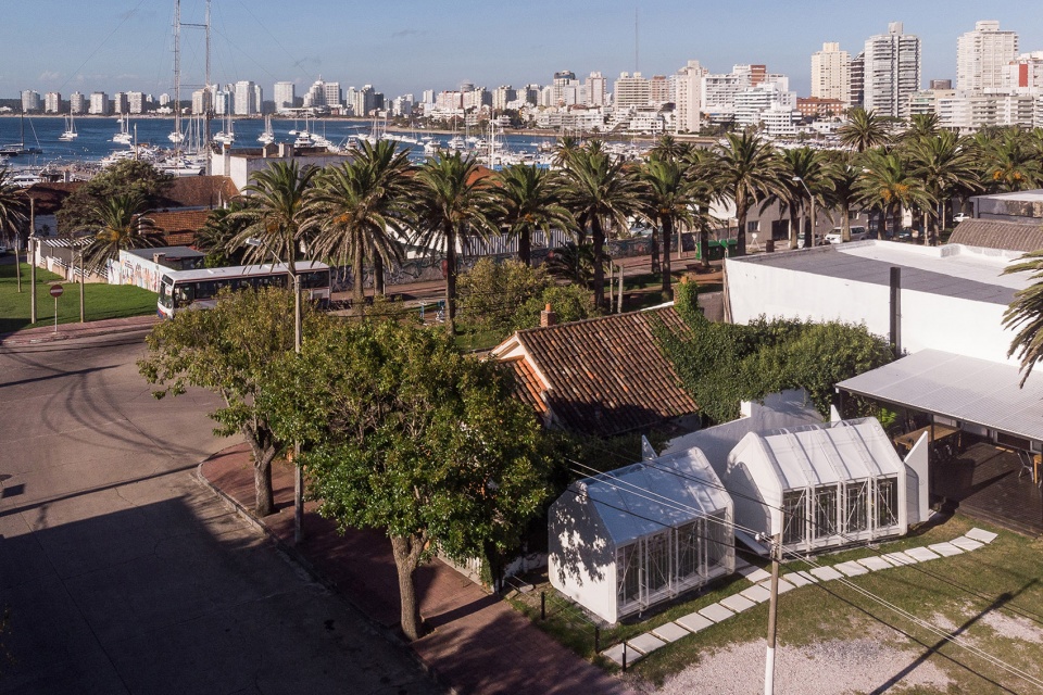 greenhouse orchid punta del este by mateo nunes da rosa