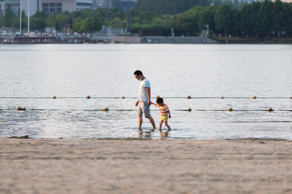 Hefei New Municipal and Culture District Swan Lake Park by LA Design