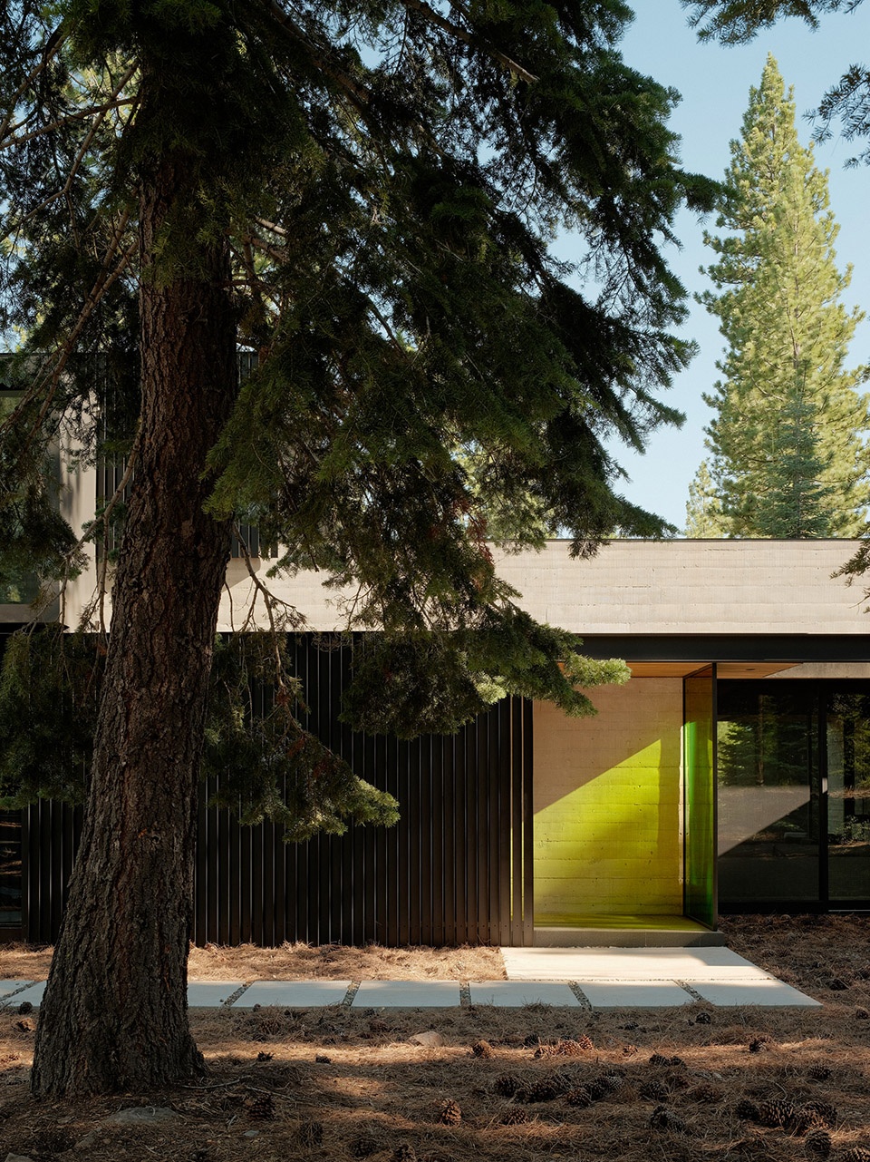 forest house by faulkner architects