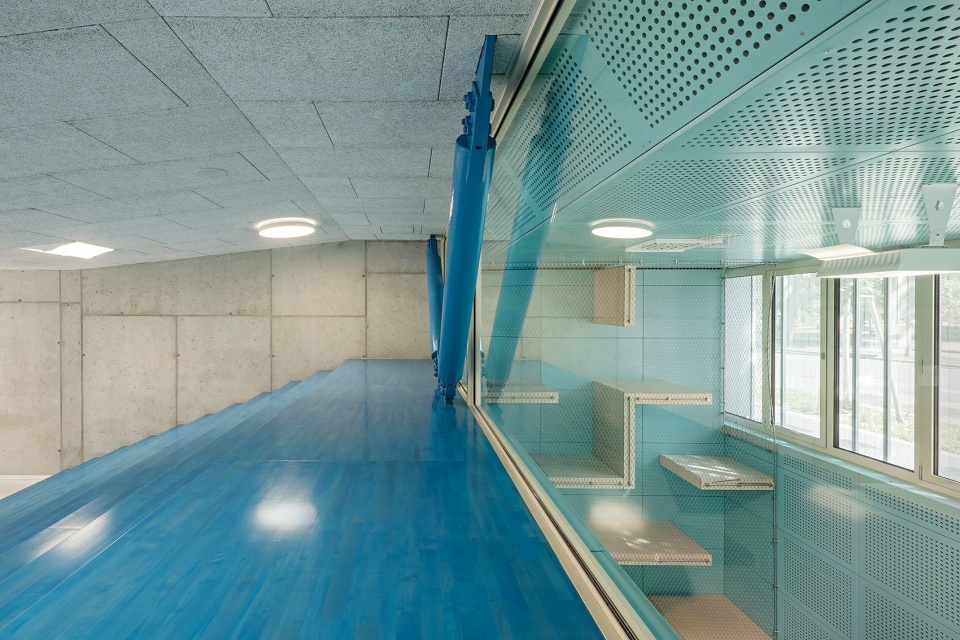 langenfeldgasse primary and vocational school by ppag architects