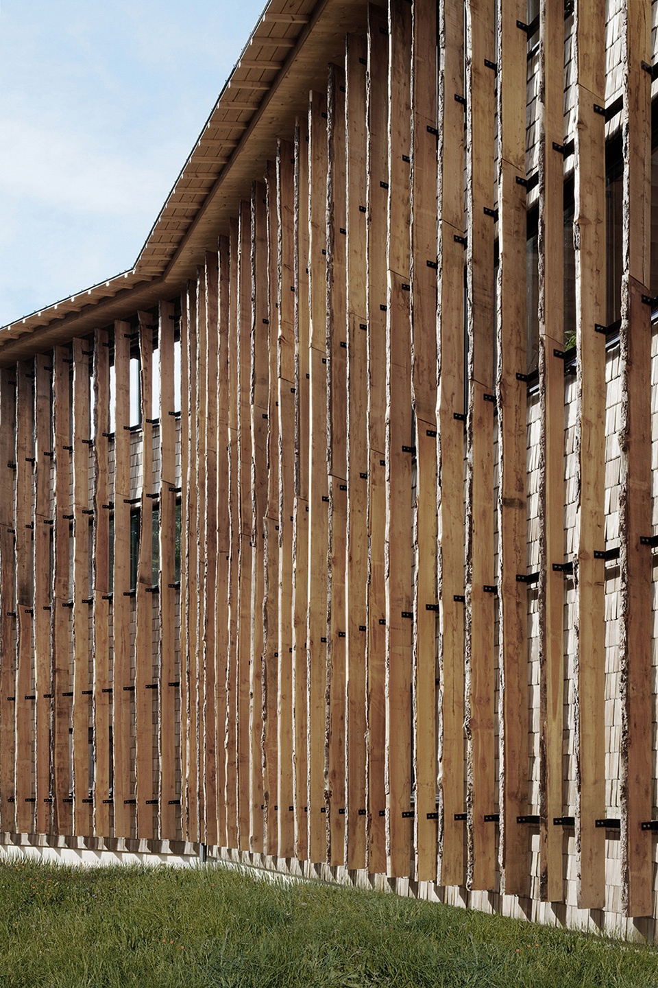 woody by atelier du pont