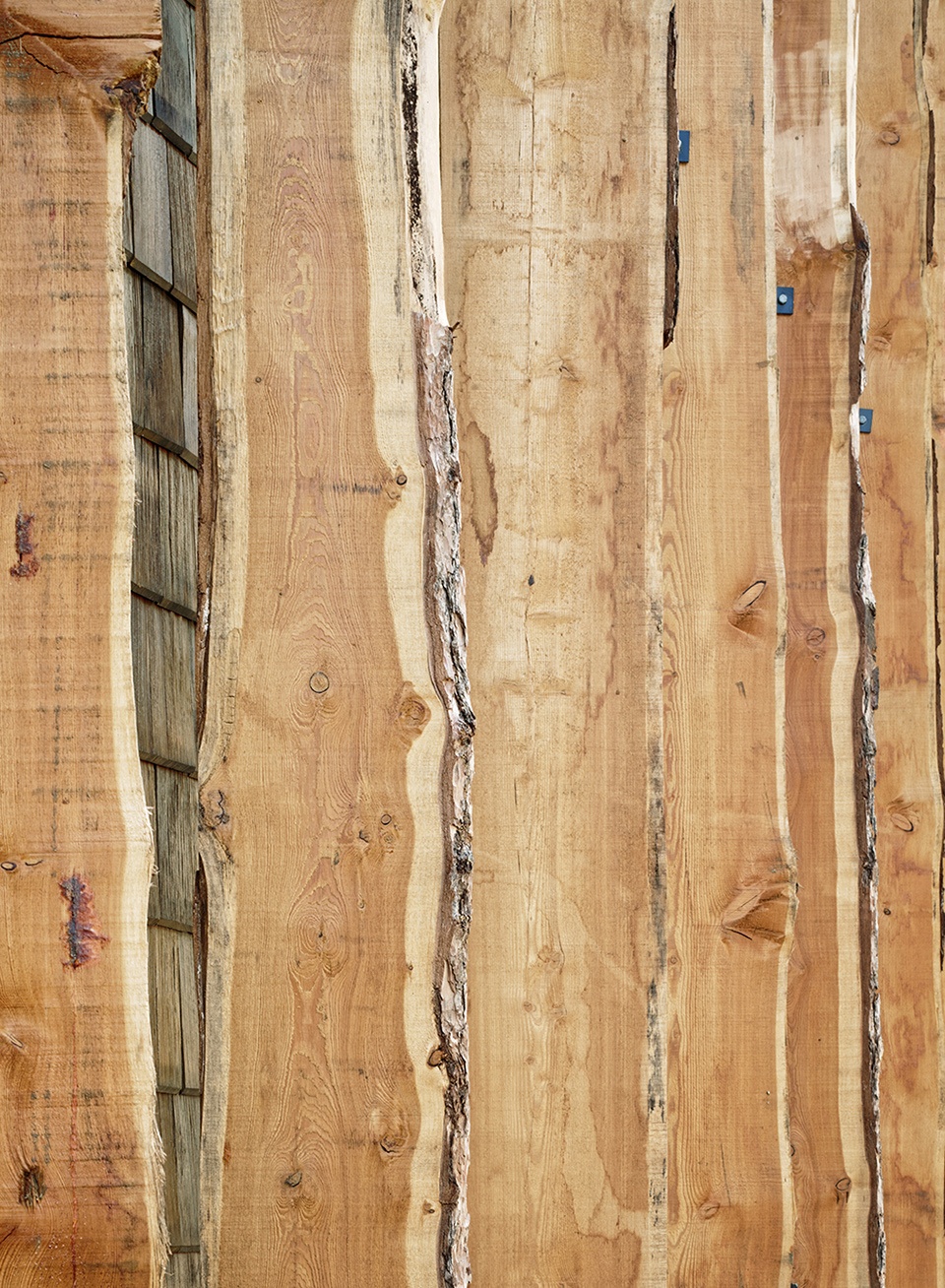 woody by atelier du pont