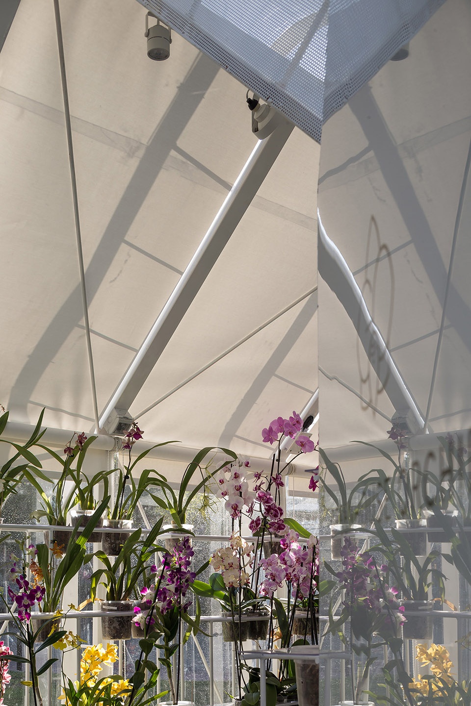 greenhouse orchid punta del este by mateo nunes da rosa