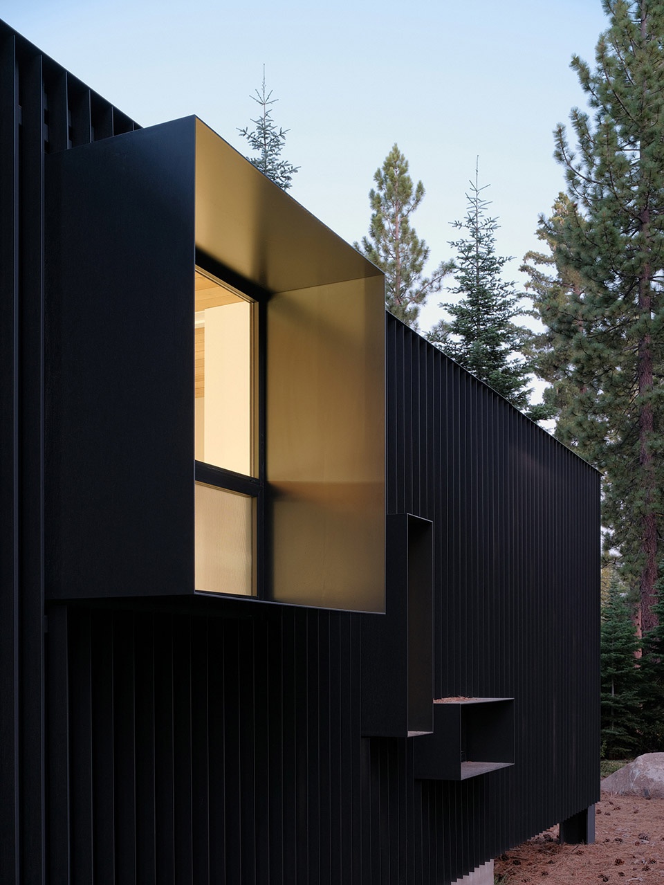 forest house by faulkner architects