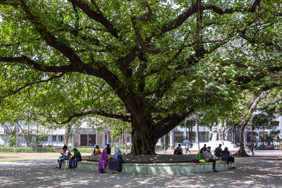 kola bhaban prangon landscape architecture at faculty of arts university of dhaka by sthanik consultants