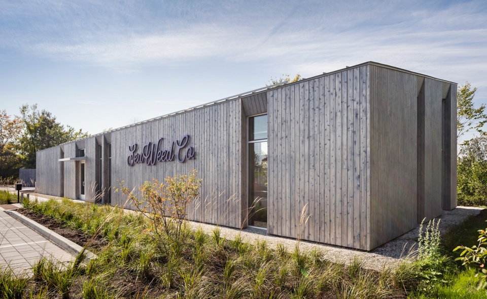 seaweed flagship by maam