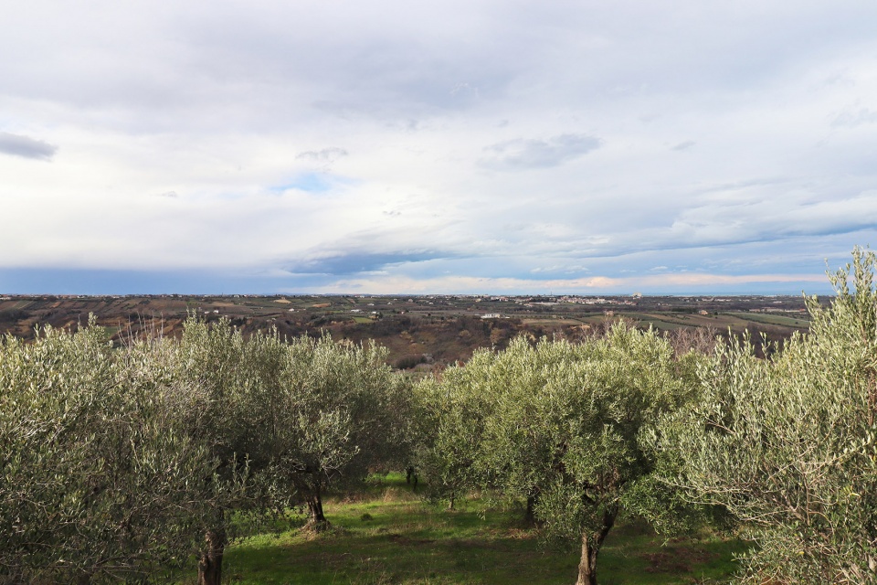 LANDSCAPE OF REMEMBRANCE Expansion of the Frisa Cemetery by arcari cimini architettura