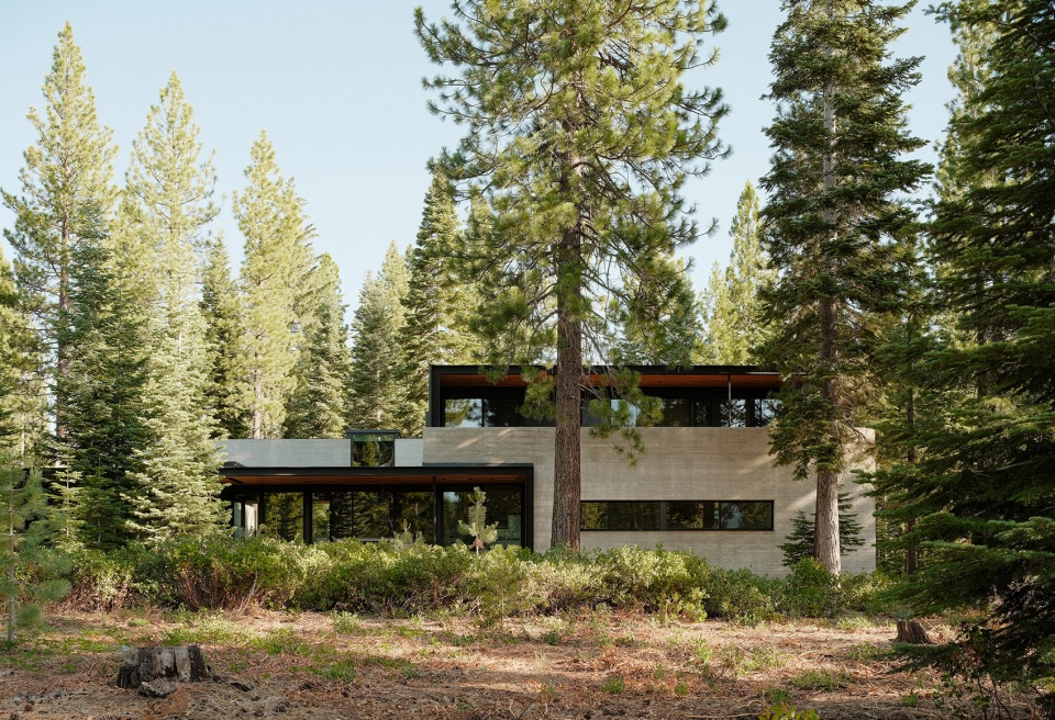 forest house by faulkner architects