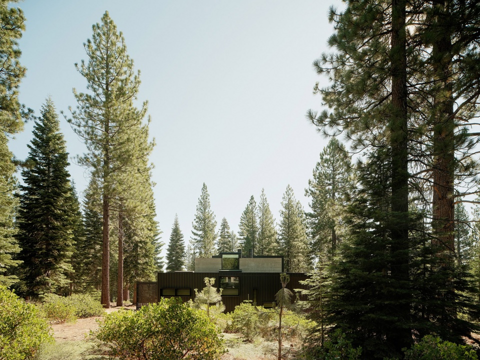 forest house by faulkner architects