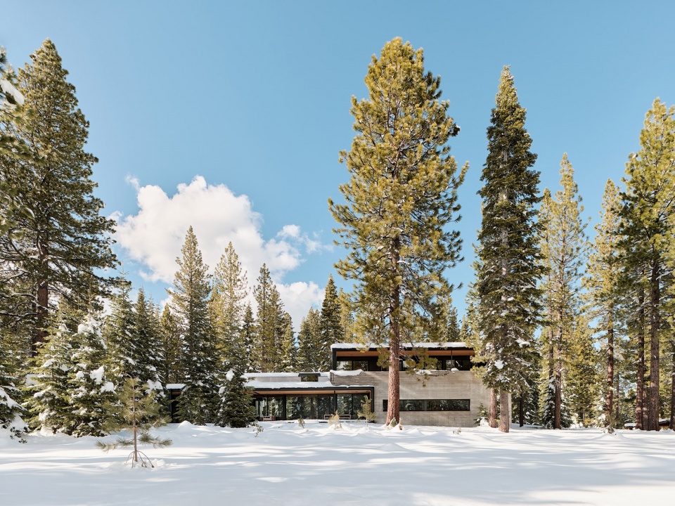 forest house by faulkner architects