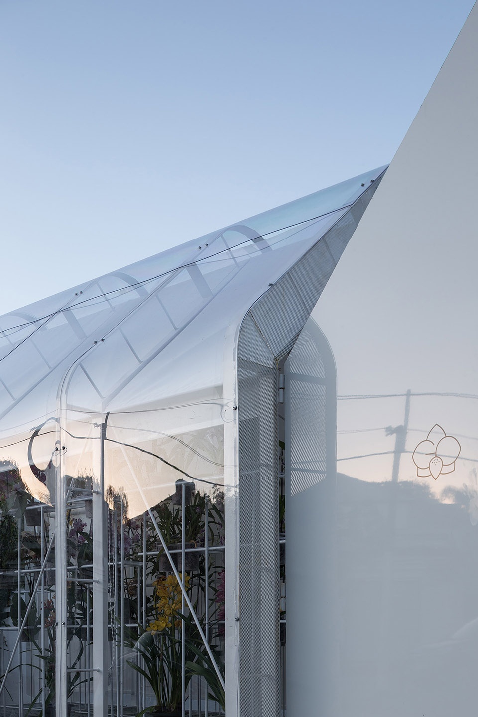 greenhouse orchid punta del este by mateo nunes da rosa