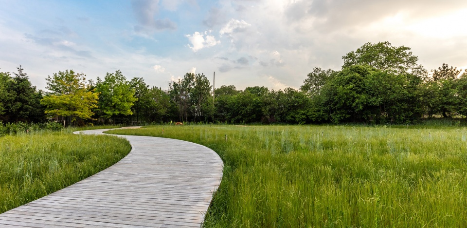 2020 asla general design award of honor naval cemetery landscape nelson byrd woltz landscape architects