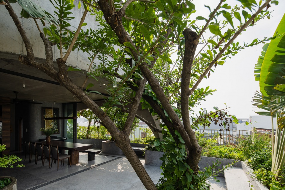 HOA S HOUSE by H 2