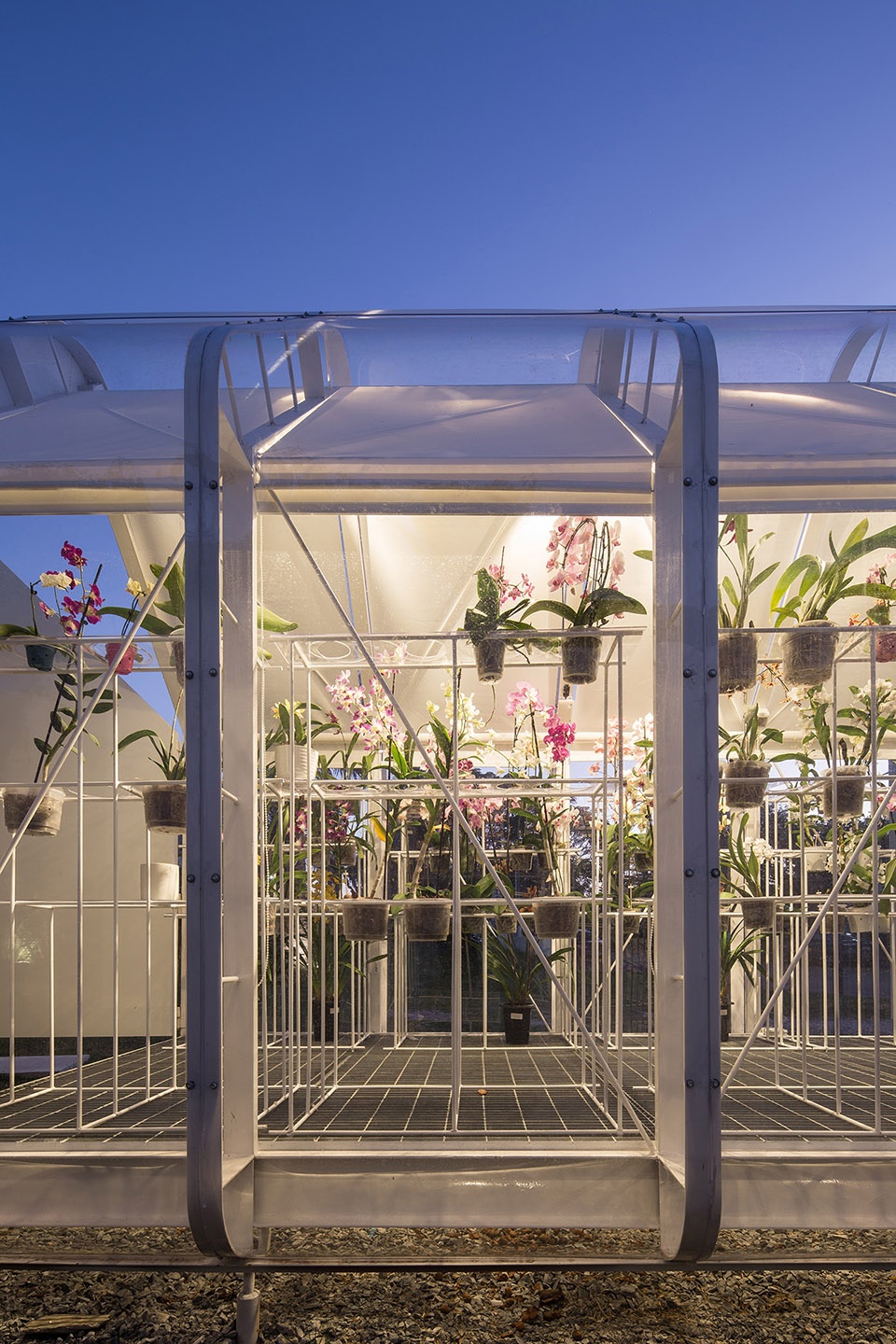 greenhouse orchid punta del este by mateo nunes da rosa