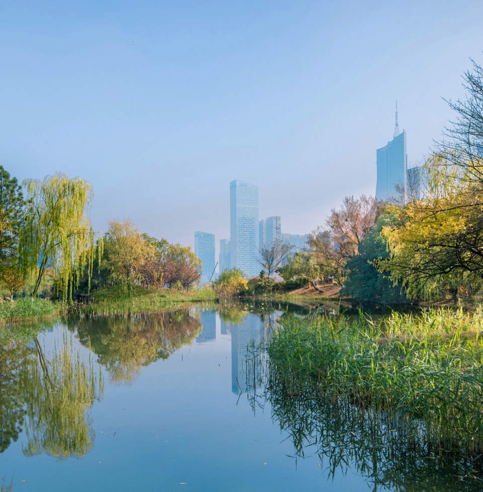 Hefei New Municipal and Culture District Swan Lake Park by LA Design