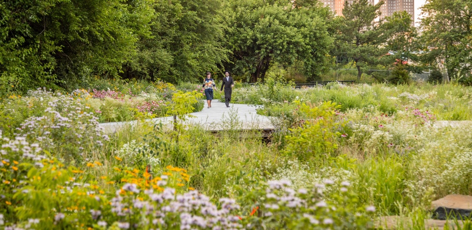 2020 asla general design award of honor naval cemetery landscape nelson byrd woltz landscape architects