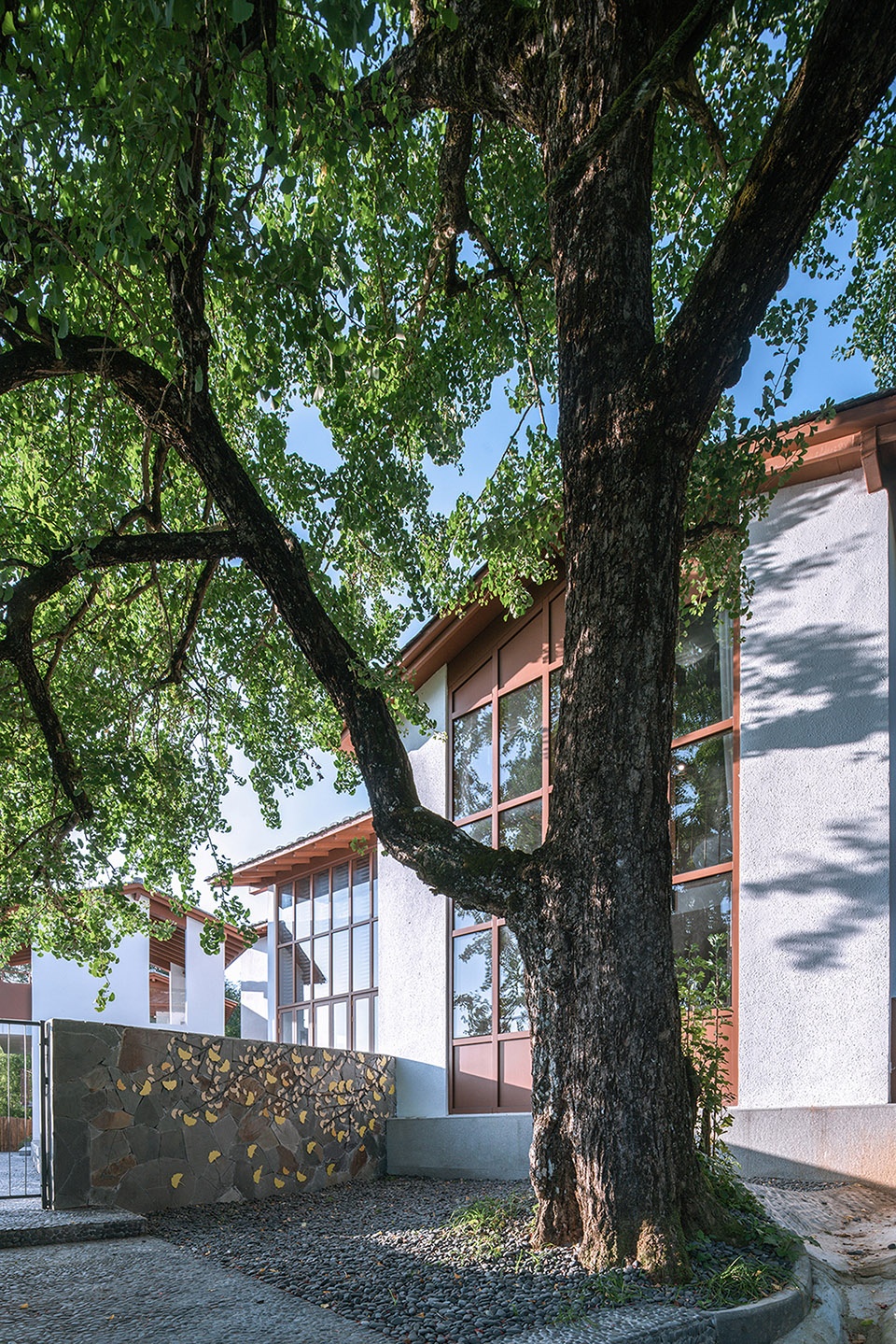 BB in Ginkgo Village China by RESP Studio