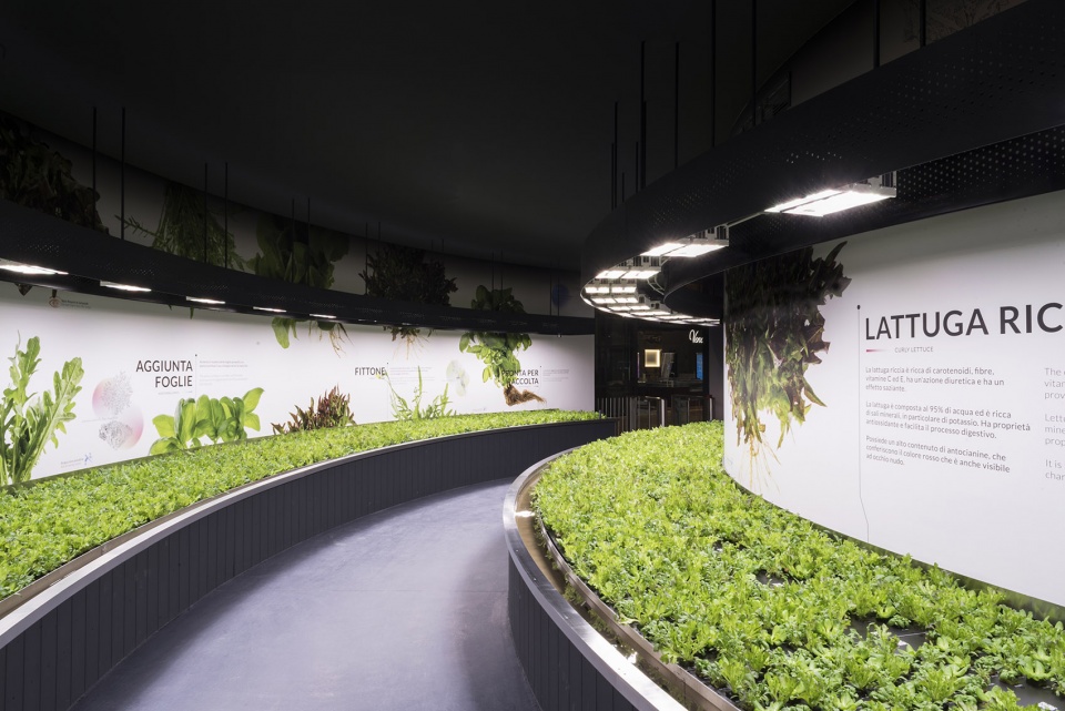 gooood archive Urban Agriculture