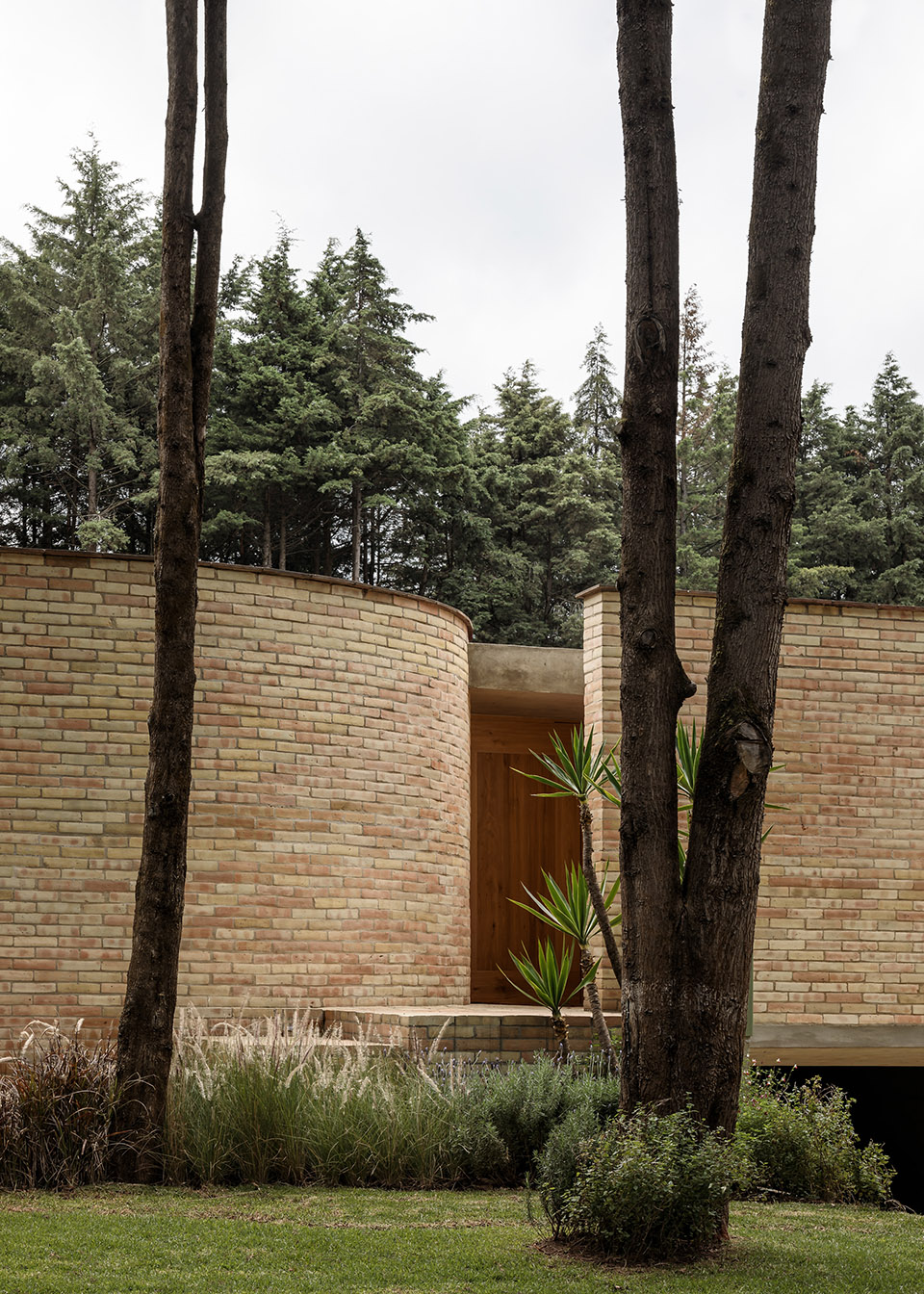 Forest House by LANZA Atelier - 谷德设计网