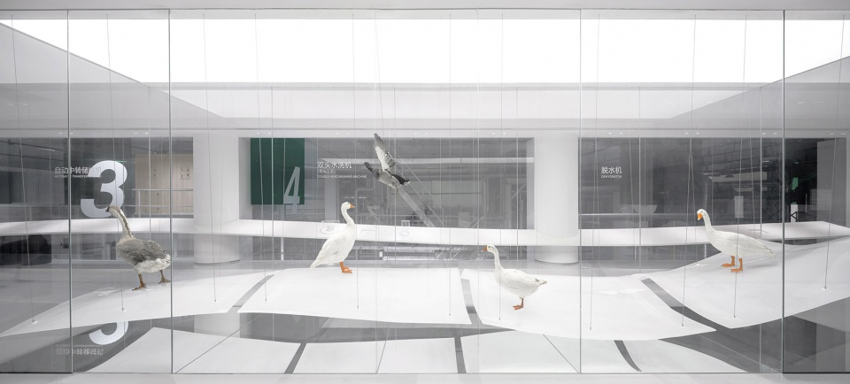 21 2F specimen display